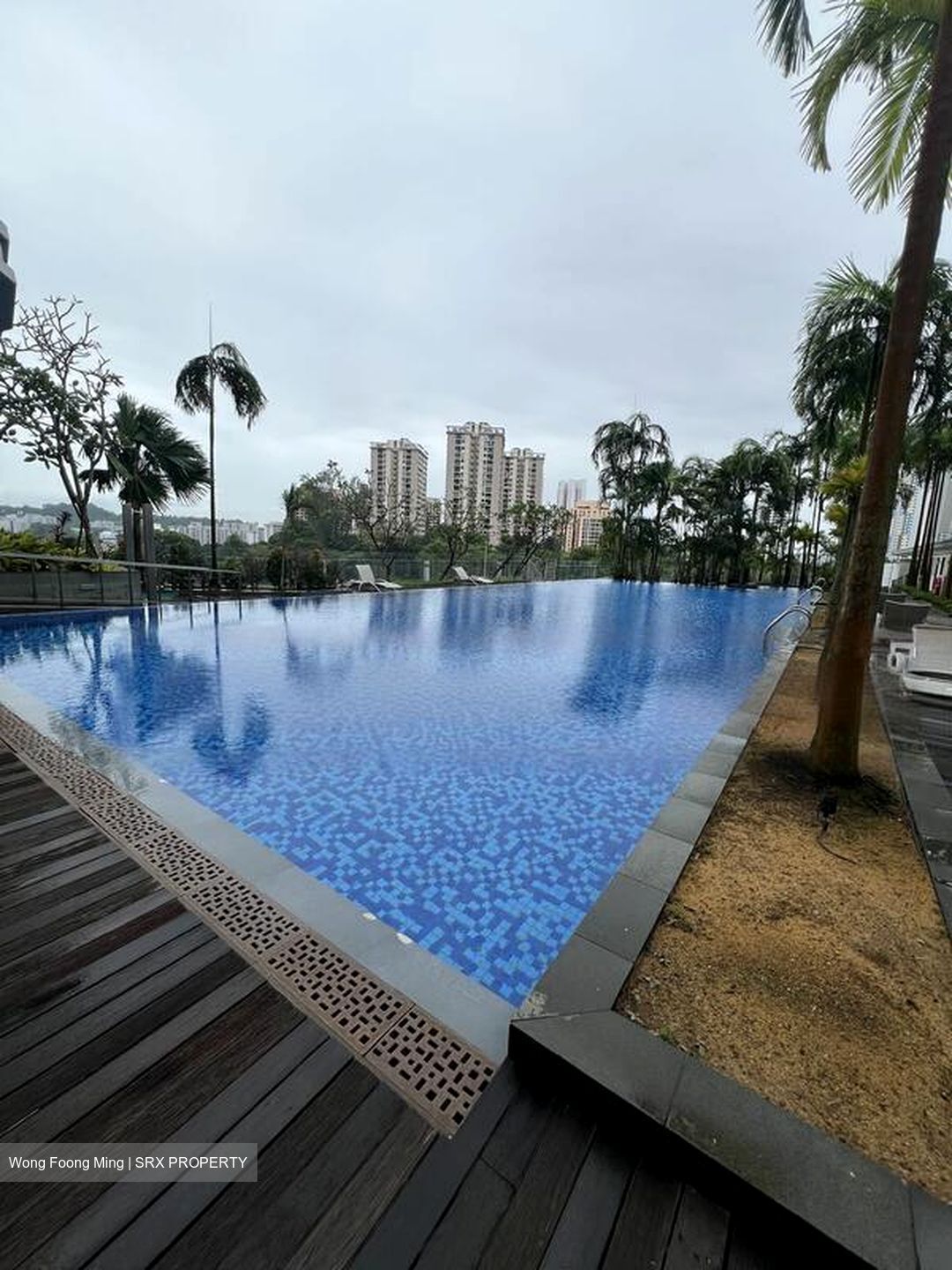 The Rochester Residences (D5), Apartment #459509301
